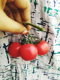 Close-up of hand holding tomatoes