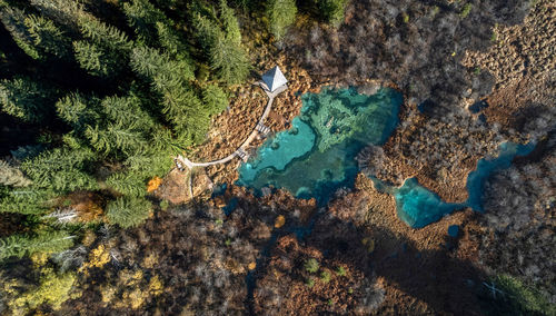 Spectacular aerial view of lakes at zelenci nature reserve in slovenia