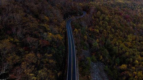 High angle view of road amidst trees during autumn