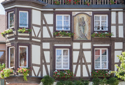 Potted plants against building