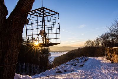 Trees against sky during sunset