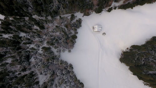 Aerial view of trees on snowy land