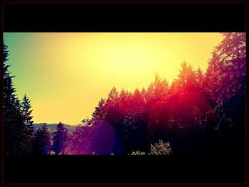 View of trees against sky