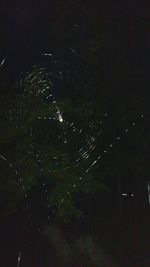 Low angle view of illuminated lights at night