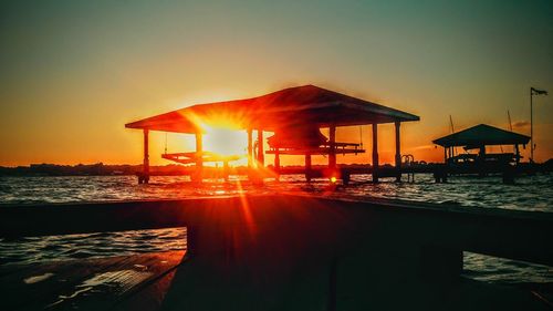 Sun shining through trees