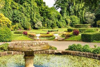 Scenic view of park against sky