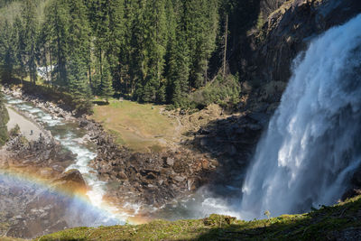 Scenic view of waterfall in forest