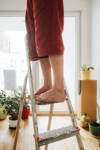Low section of man standing on ladder by potted plant at home