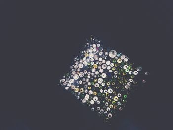 High angle view of firework display against black background