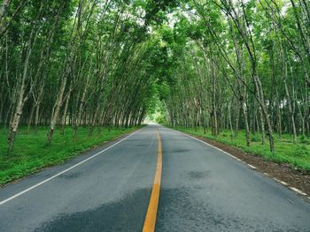 Road amidst trees in forest