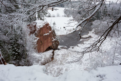 Snow covered land and trees during winter