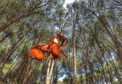 Low angle view of orange hanging on tree in forest