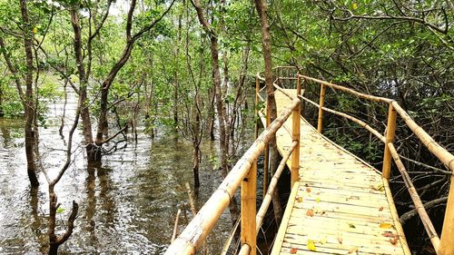 Footbridge over river