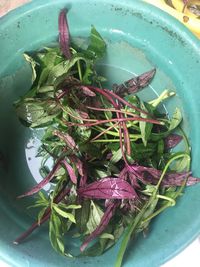 High angle view of vegetables in container