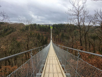 View of footbridge through trees