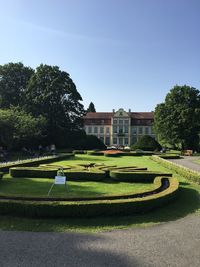 Lawn in garden