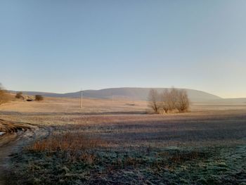 Scenic view of landscape against clear sky