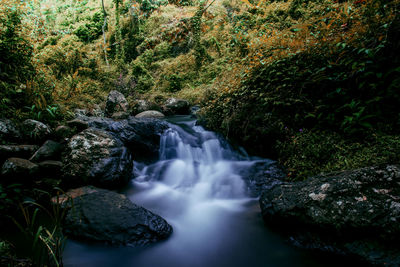 Stream flowing through rocks in forest