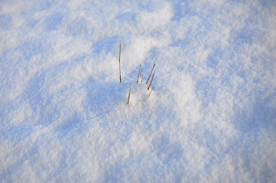 Close-up of snow on blue sky