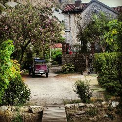 Car on road