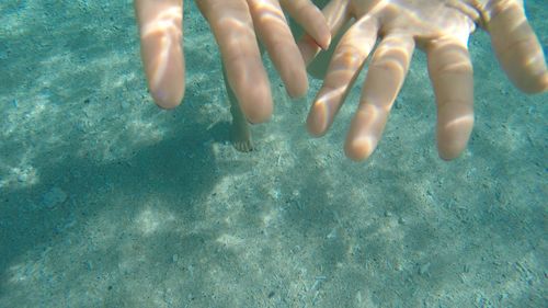 Low section of boy swimming in sea