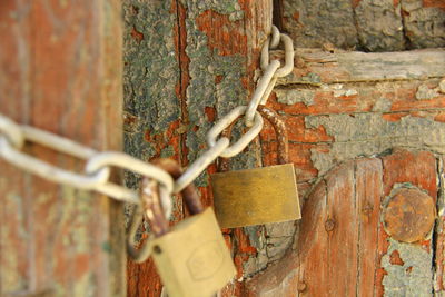 Close-up of padlocks with metal chain on weathered door