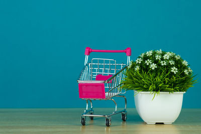 Potted plant on table against blue background