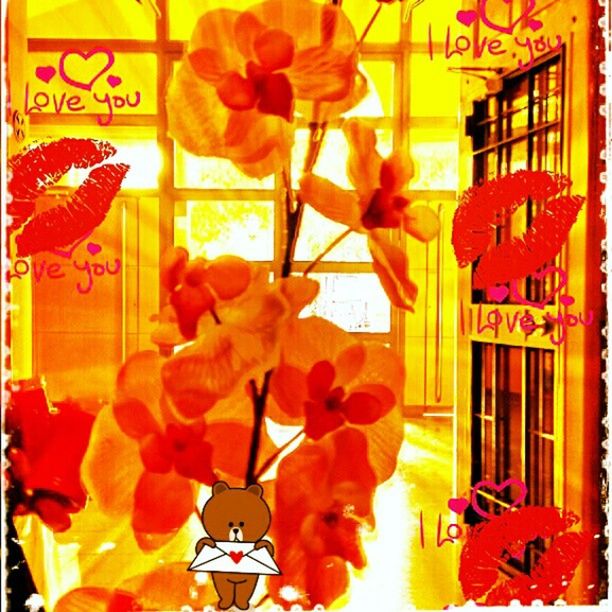 flower, architecture, built structure, orange color, window, building exterior, yellow, low angle view, petal, fragility, indoors, decoration, hanging, multi colored, red, day, growth, plant, no people, freshness