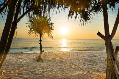 Scenic view of sea during sunset