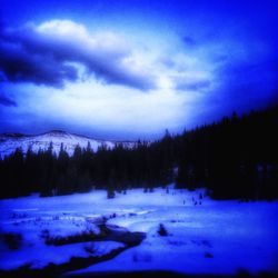 Scenic view of snow covered landscape