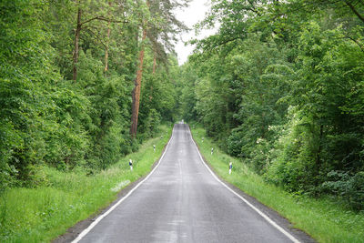 Road amidst trees in forest