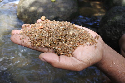 Close-up of person hand holding rock