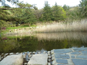 Scenic view of lake against sky