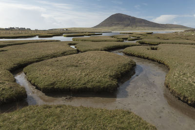 High angle view of streams amidst moss covered rock formations