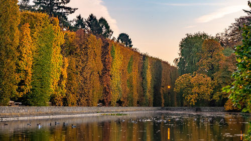 Scenic view of lake by trees against sky during autumn