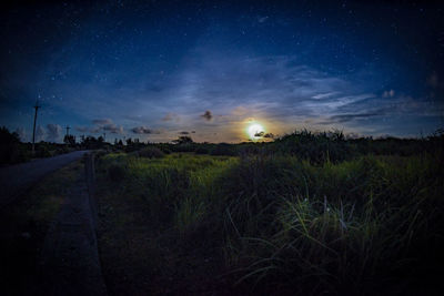 Scenic view of field against sky at night