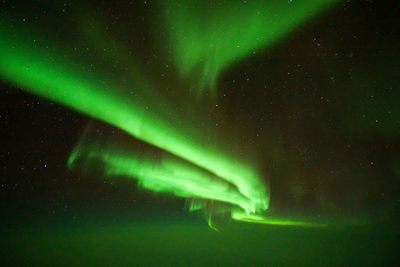 Low angle view of stars in sky at night