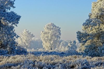 Snow covered land against clear blue sky