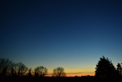Silhouette trees against clear sky at night