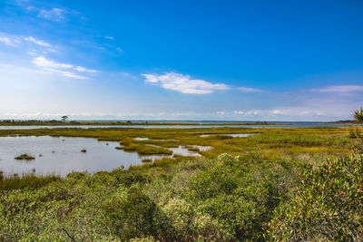 Scenic view of sea against sky