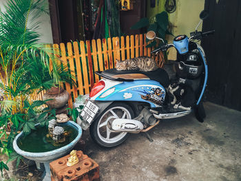 Bicycles parked outside house