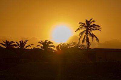 Silhouette palm trees on beach against sky at sunset