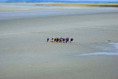 Drone point view of people at beach