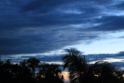 Low angle view of silhouette palm trees against sky