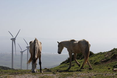 Horses on field by windmills against sky