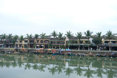 Reflection of palm trees in lake against sky