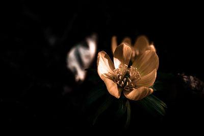 darkness