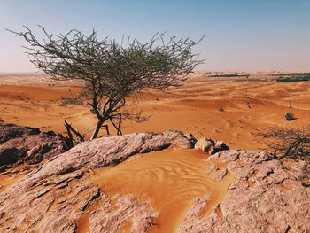 Scenic view of desert against clear sky