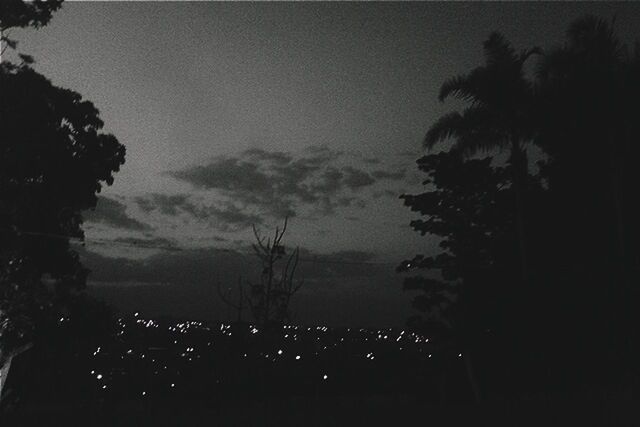 night, silhouette, illuminated, sky, tree, dusk, dark, building exterior, built structure, architecture, nature, outdoors, cloud - sky, copy space, tranquility, scenics, beauty in nature, city, growth, no people