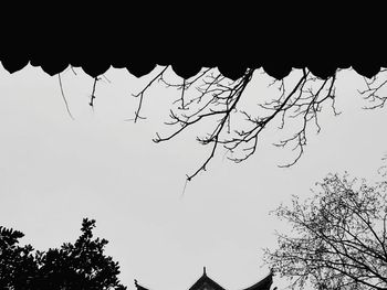 Low angle view of silhouette birds flying against sky